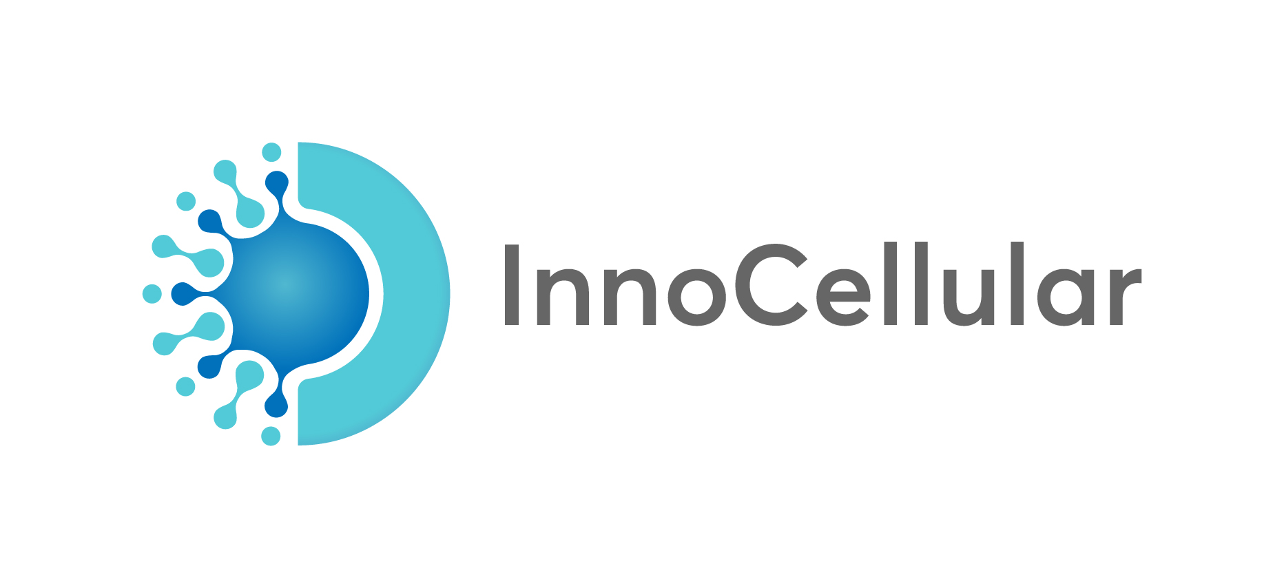 Overview of InnoCellular - InnoCellular